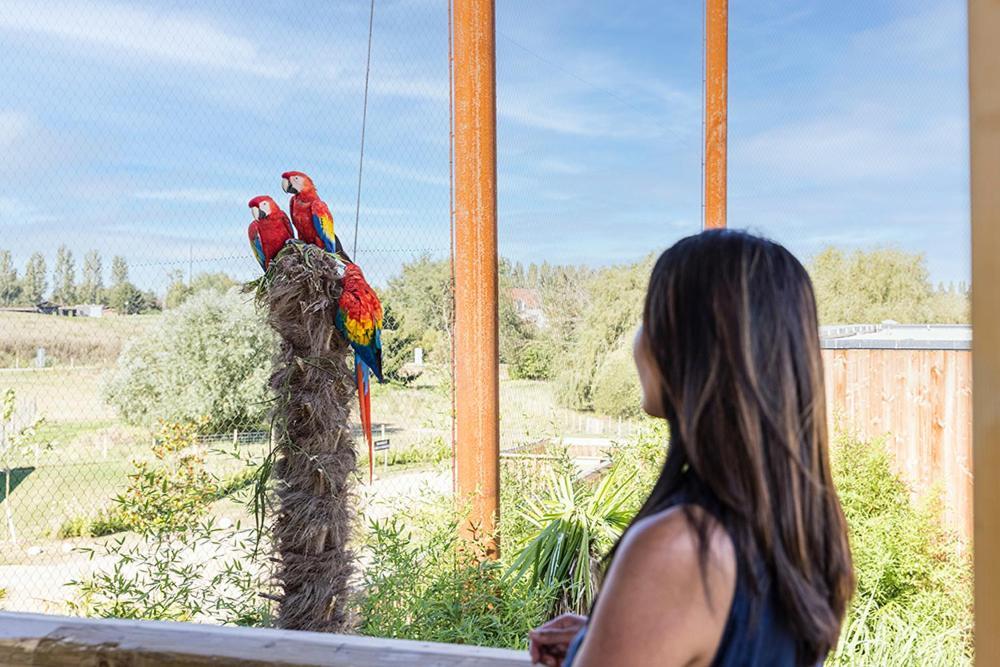 Parrot World - Les Lodges Crecy-la-Chapelle Kültér fotó