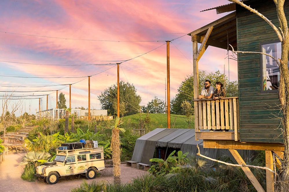 Parrot World - Les Lodges Crecy-la-Chapelle Kültér fotó
