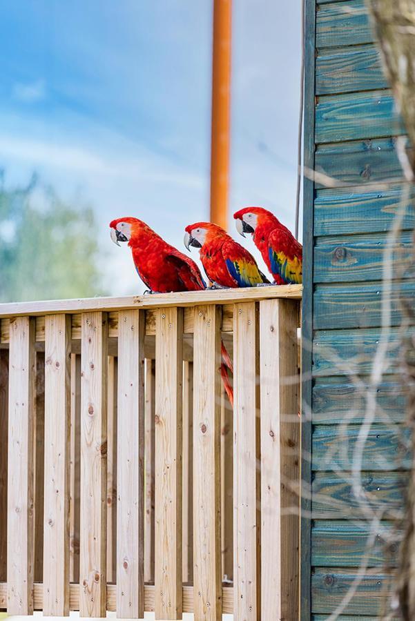 Parrot World - Les Lodges Crecy-la-Chapelle Kültér fotó