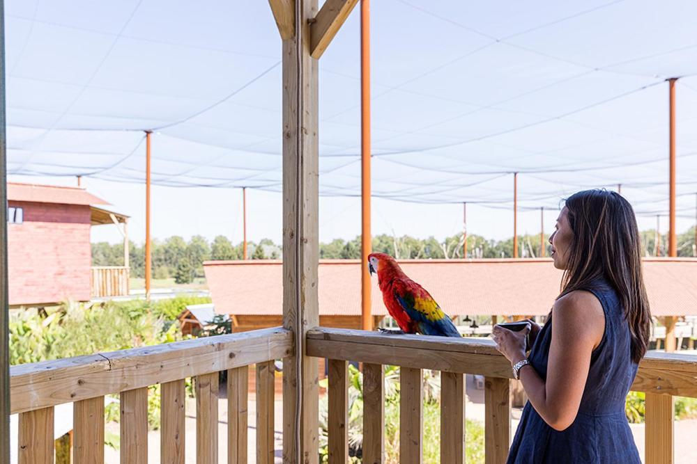 Parrot World - Les Lodges Crecy-la-Chapelle Kültér fotó
